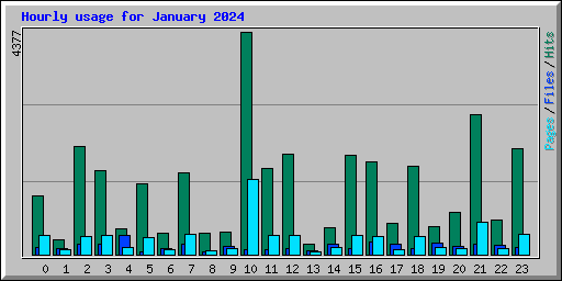 Hourly usage for January 2024