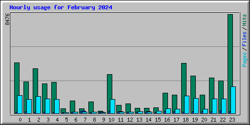 Hourly usage for February 2024