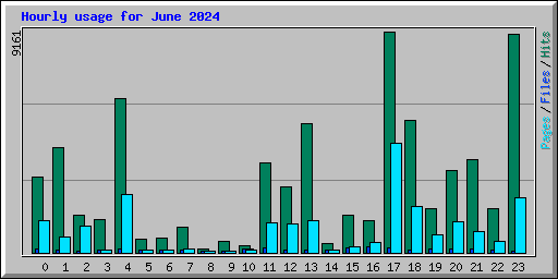 Hourly usage for June 2024